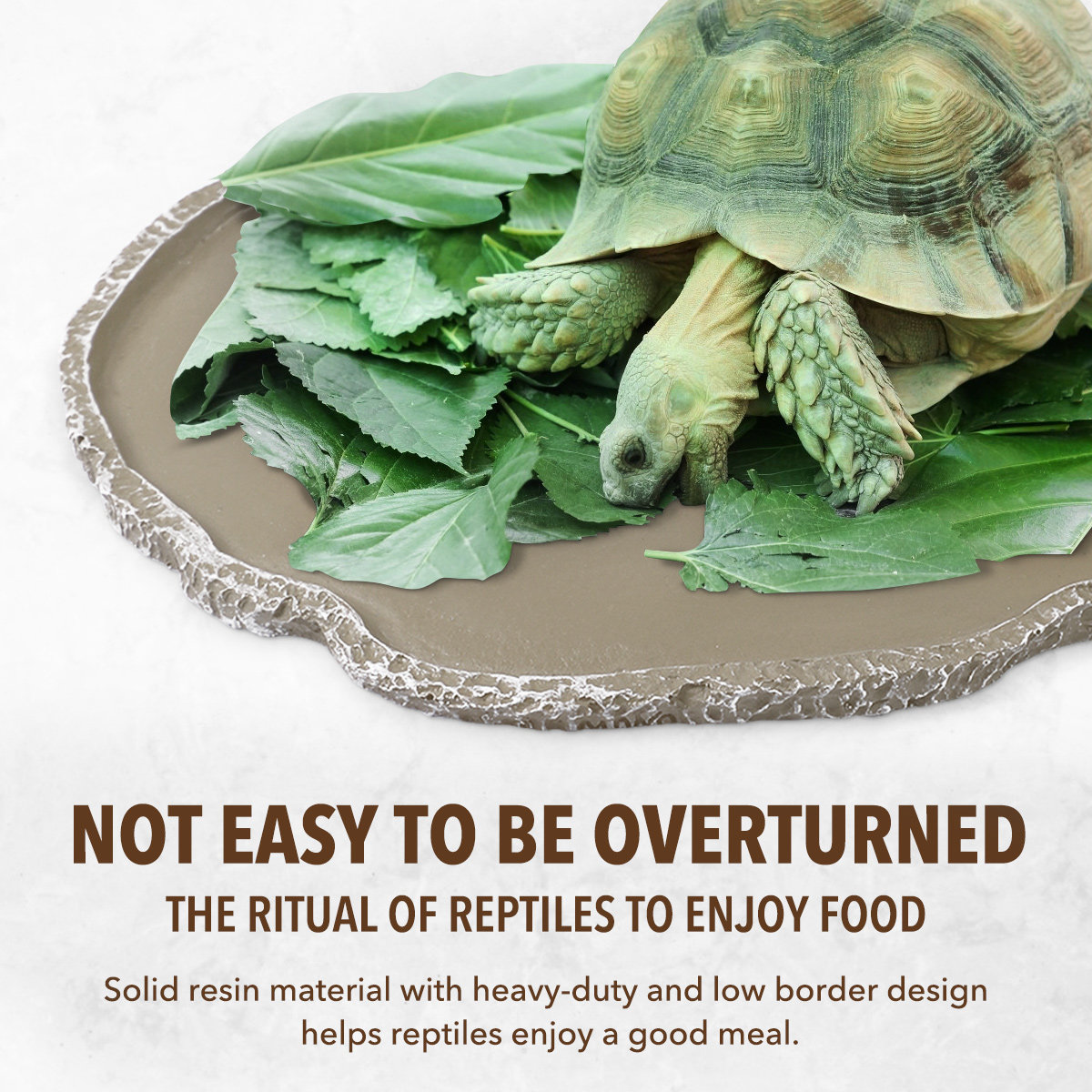 Tigela de Alimentação para Rép - Water Dish Reptile avaliação e preço