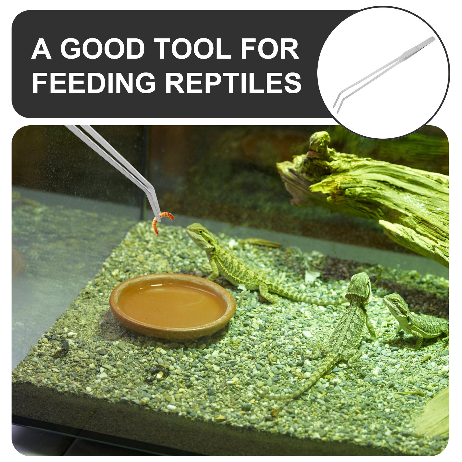 6 peças de pinças de ponta red - Feeding Tong Stainless avaliação e preço